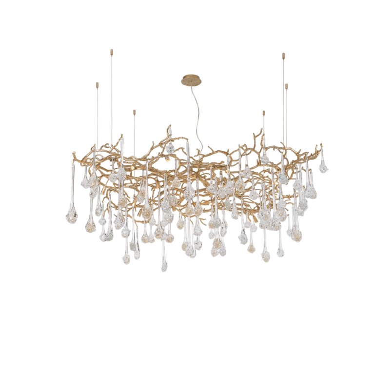Coral Reef Suspension