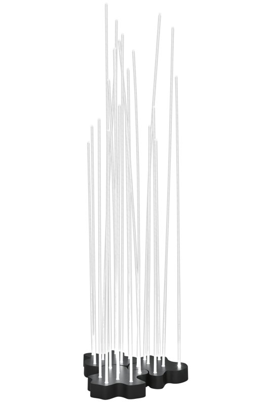 Reeds