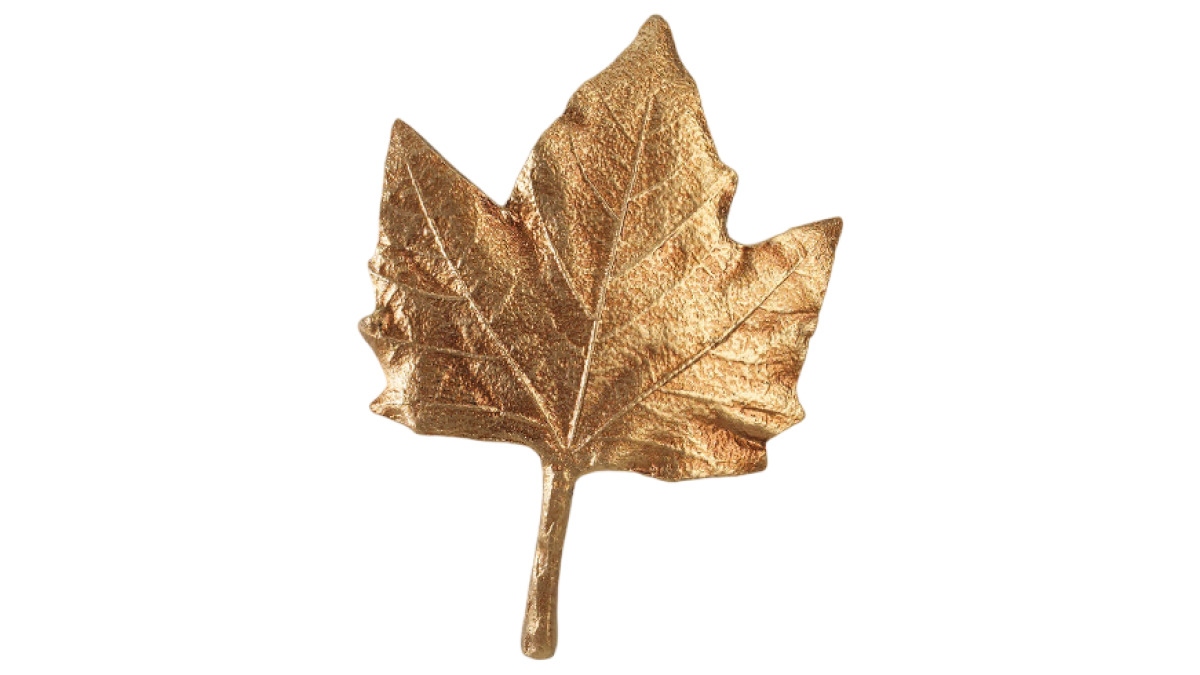 Folio Leaf
