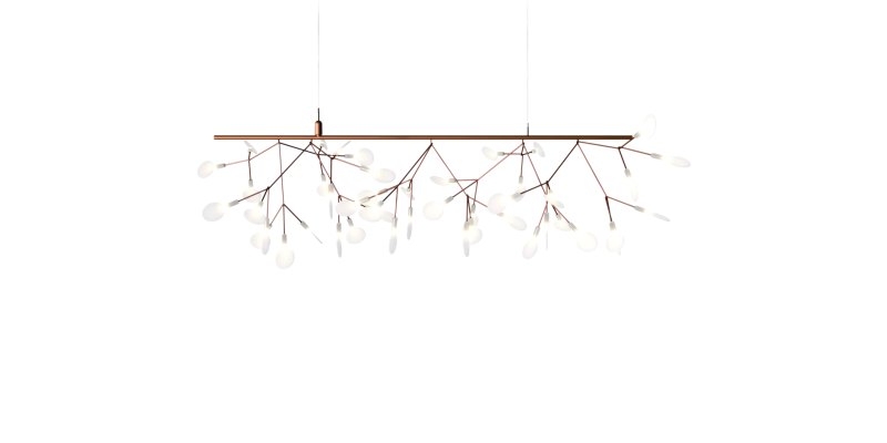 Heracleum III Endless
