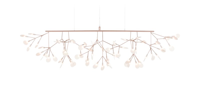 Heracleum III Linear