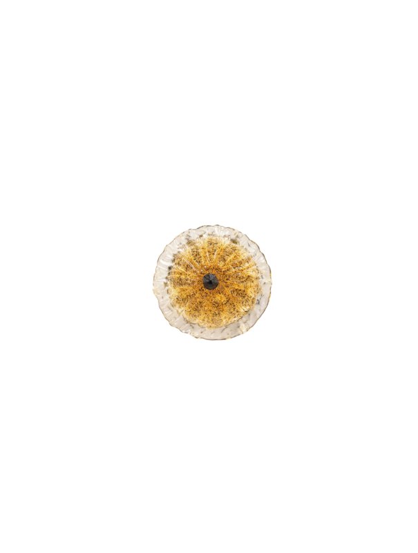 Nenufar Aura