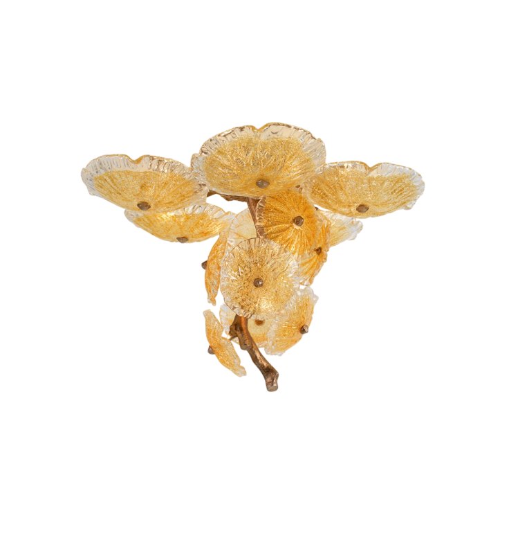 Nenufar Lutea