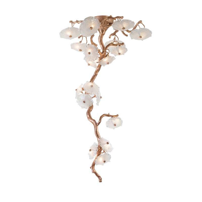 Nenufar Bonsai