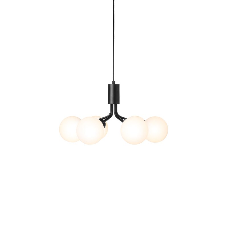 Apiales pendant