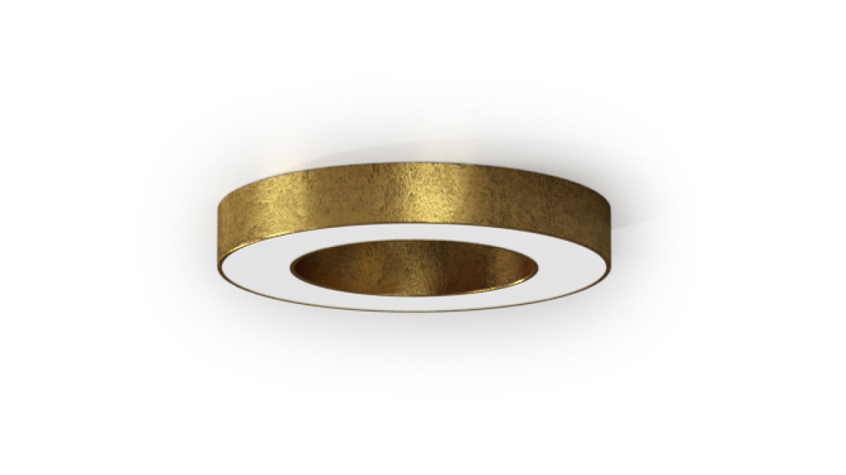 Silver Ring ceiling/wall