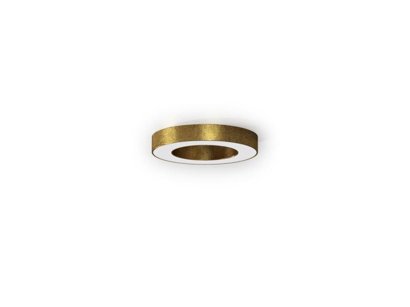 Silver Ring ceiling/wall