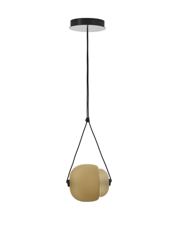 Capsula