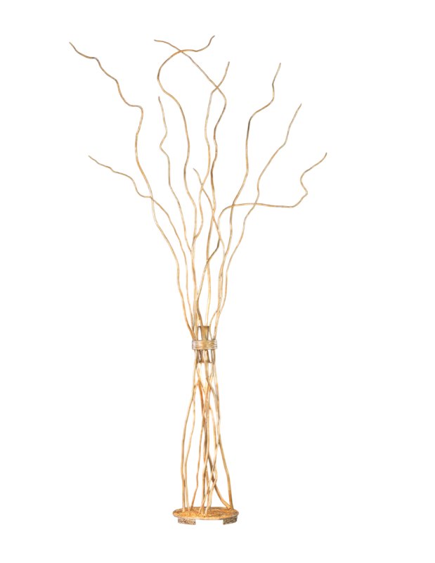Wind Aquilon